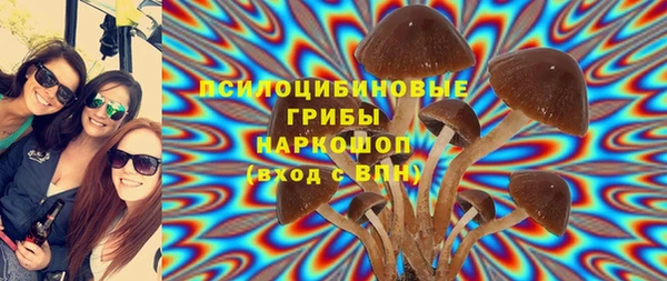 гашишное масло Заводоуковск