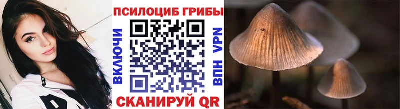 Галлюциногенные грибы ЛСД  Теберда 